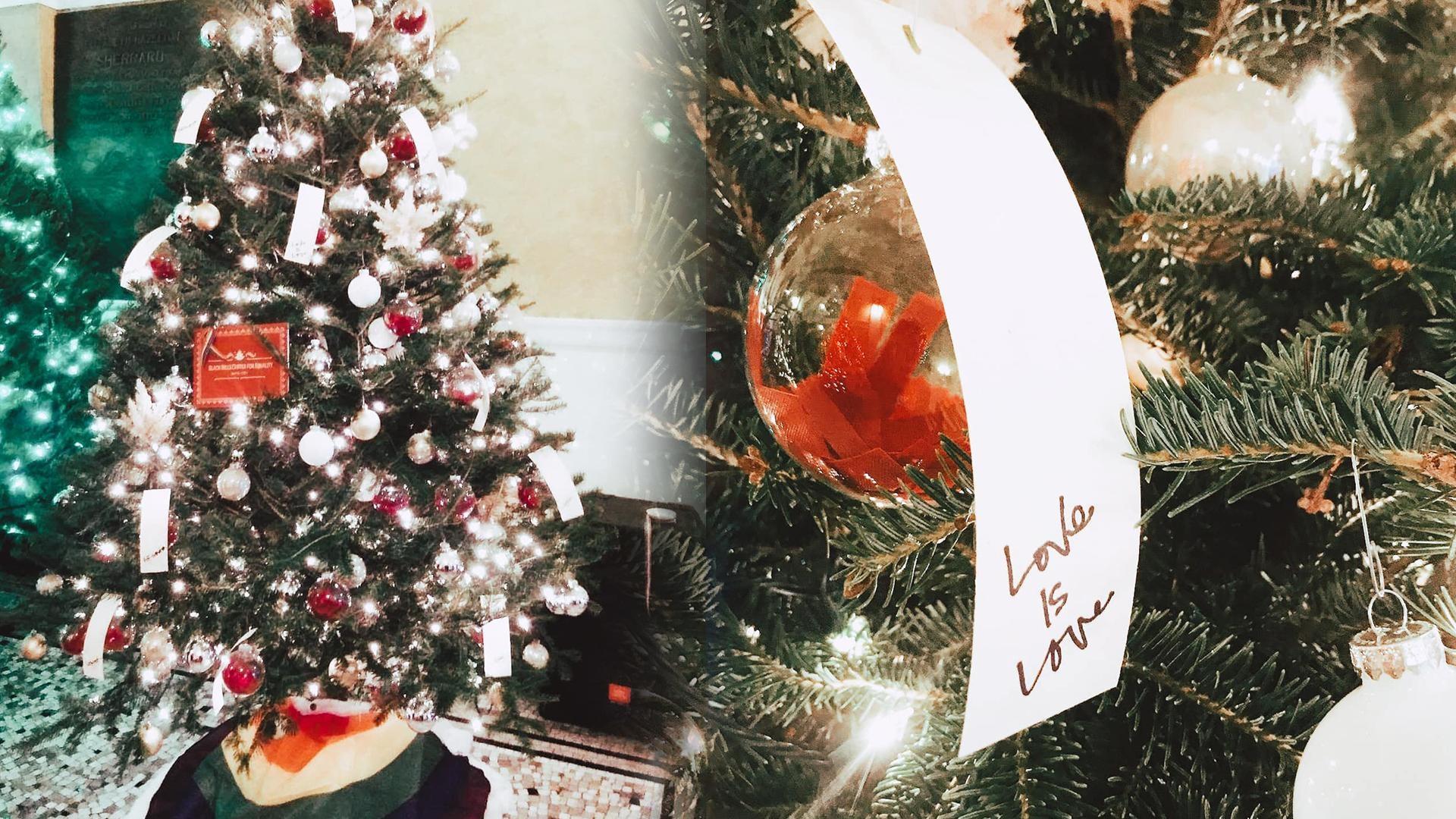 Holiday Pride Tree on Display at the Capital Building Celebrates